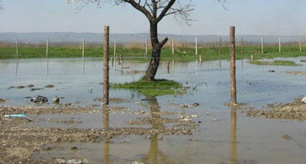 Minefield, Chechnya. Source: http://an222.photosight.ru Minefield, Chechnya. Source: http://an222.photosight.ru