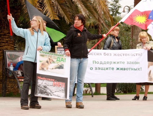 Action "Russia without cruelty" in Sochi, April 23, 2011. Photo by the "Caucasian Knot" Action "Russia without cruelty" in Sochi, April 23, 2011. Photo by the "Caucasian Knot"