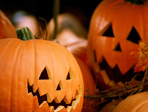 Jack o' lanterns. Photo by Andy Castro, http://www.flickr.com/photos/andycastro Jack o' lanterns. Photo by Andy Castro, http://www.flickr.com/photos/andycastro