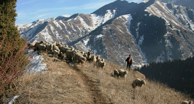 Mountain pastures in Dokuzparinsky district of Dagestan. Photo http://flnka.ru/ Mountain pastures in Dokuzparinsky district of Dagestan. Photo http://flnka.ru/