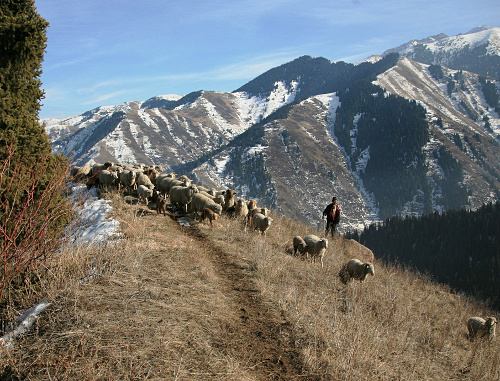 Mountain pastures in Dokuzparinsky district of Dagestan. Photo http://flnka.ru/ Mountain pastures in Dokuzparinsky district of Dagestan. Photo http://flnka.ru/