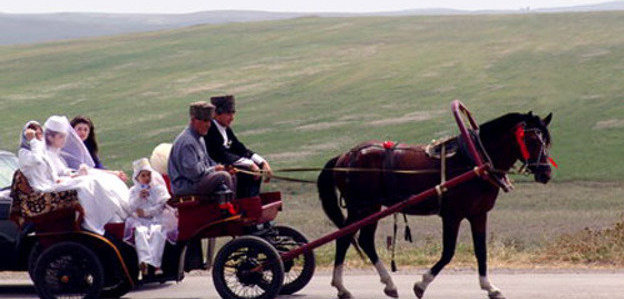 Ingushetia, wedding. Photo by www.ingushetia.ru Ingushetia, wedding. Photo by www.ingushetia.ru