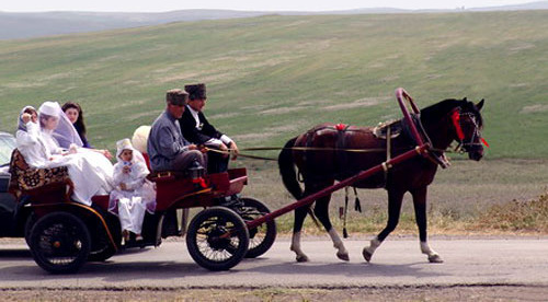 Ingushetia, wedding. Photo by www.ingushetia.ru Ingushetia, wedding. Photo by www.ingushetia.ru