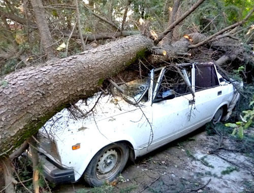 A car broken as a result of the storm. Sochi, September 26, 2013. Photo by Svetlana Kravchenko for the ‘Caucasian Knot’. A car broken as a result of the storm. Sochi, September 26, 2013. Photo by Svetlana Kravchenko for the ‘Caucasian Knot’.