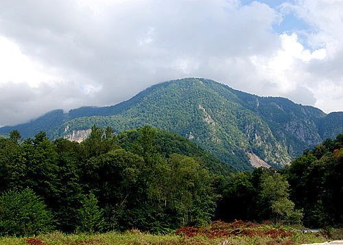 The valley of the Mzymta river. Photo of "Caucasian Knot" The valley of the Mzymta river. Photo of "Caucasian Knot"
