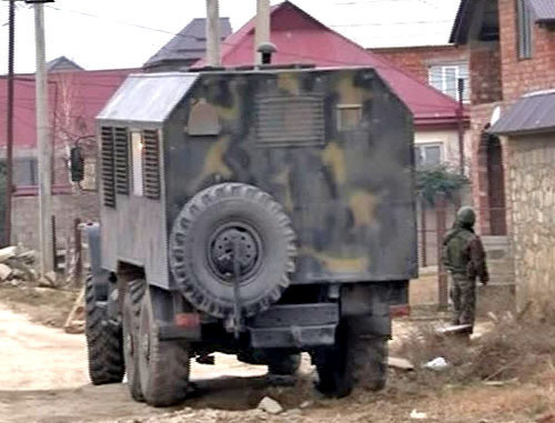 Special operation. Photo http://nac.gov.ru/ Special operation. Photo http://nac.gov.ru/