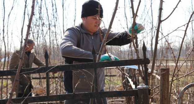 Subbotnik on Christian cemeteries in Leninsky District of Grozny, April 4, 2014. Photo by the press service of the Ministry of Highways of the Chechen Republic, http://www.minavtodorchr.ru/top-news/662-fotoreportazh-s-subbotnikov-po-ochistke-territorii-kladbishcha-v-leninskom-rajone-g-groznogo Subbotnik on Christian cemeteries in Leninsky District of Grozny, April 4, 2014. Photo by the press service of the Ministry of Highways of the Chechen Republic, http://www.minavtodorchr.ru/top-news/662-fotoreportazh-s-subbotnikov-po-ochistke-territorii-kladbishcha-v-leninskom-rajone-g-groznogo