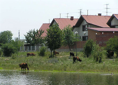 Ingushetia. Photo by www.venividi.ru/user/183, Artem Rusakovich Ingushetia. Photo by www.venividi.ru/user/183, Artem Rusakovich