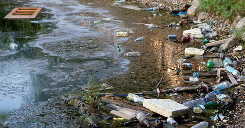 Garbage on the shore of Lake Karasun in Krasnodar. Photo: Yuliya Simatova / Yugopolis Garbage on the shore of Lake Karasun in Krasnodar. Photo: Yuliya Simatova / Yugopolis