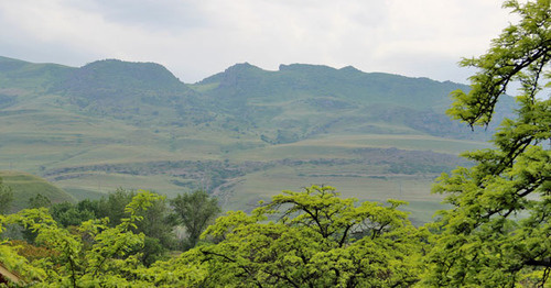 A mountain forest zone. Dagestan, May 15, 2015. Photo by Magomed Magomedov for the "Caucasian Knot"