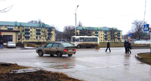Grozny, Staropromyslov District. Photo by Akhmed Aldebirov for the "Caucasian Knot"