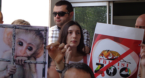 Protesters in Tbilisi. Photo by Inna Kukudzhanova for the ‘Caucasian Knot’. Protesters in Tbilisi. Photo by Inna Kukudzhanova for the ‘Caucasian Knot’.