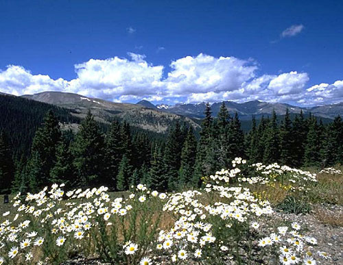 Adygea, Lago-Naki plateau. Photo by www.lagonaki.com Adygea, Lago-Naki plateau. Photo by www.lagonaki.com