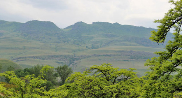 Forest highlands in Dagestan. Photo by Magomed Magomedov for the "Caucasian Knot" Forest highlands in Dagestan. Photo by Magomed Magomedov for the "Caucasian Knot"