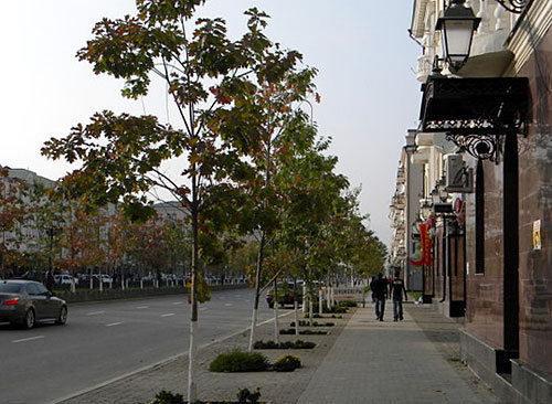 Chechnya, Grozny. Photo by the "Caucasian Knot" Chechnya, Grozny. Photo by the "Caucasian Knot"