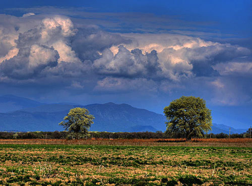 Alazani Valley in Kakheti region, Eastern Georgia. Photo by http://en.wikipedia.org Alazani Valley in Kakheti region, Eastern Georgia. Photo by http://en.wikipedia.org
