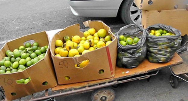 Fruit market on the Abkhazia–Russia border. Photo by Anna Gritsevich for the "Caucasian Knot"