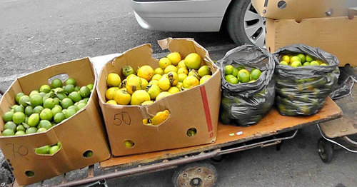 Fruit market on the Abkhazia–Russia border. Photo by Anna Gritsevich for the "Caucasian Knot" Fruit market on the Abkhazia–Russia border. Photo by Anna Gritsevich for the "Caucasian Knot"