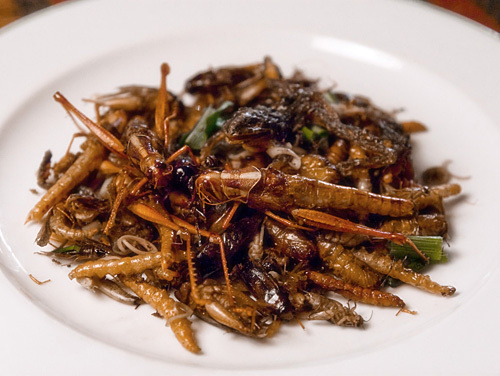 National Thai dish from grasshoppers. Photo by www.flickr.com/photos/killerturnip/3294983226 National Thai dish from grasshoppers. Photo by www.flickr.com/photos/killerturnip/3294983226