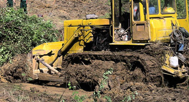 Extermination of tea plantation on the territory All-Russia Research Institute of Horticulture and Sub-tropical Plants in Sochi. June 30, 2010. Photo by the "Caucasian Knot" Extermination of tea plantation on the territory All-Russia Research Institute of Horticulture and Sub-tropical Plants in Sochi. June 30, 2010. Photo by the "Caucasian Knot"