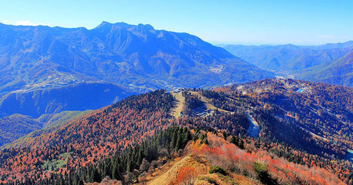 The Sochi Natural Reserve. Photo: SKas https://ru.wikipedia.org/ The Sochi Natural Reserve. Photo: SKas https://ru.wikipedia.org/