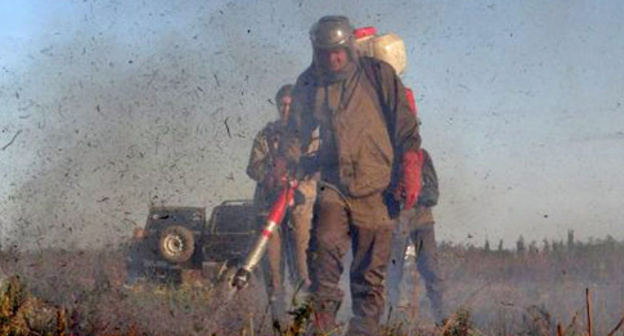 Participants of EcoWatch anti-fire expedition combat fire in Shapsug, Krasnodar Region, September 2016. Photo: http://ewnc.org/node/23061 Participants of EcoWatch anti-fire expedition combat fire in Shapsug, Krasnodar Region, September 2016. Photo: http://ewnc.org/node/23061