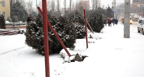 The pillars of the dismantled fence of the Dagestani Scientific Centre. Photo: Mkala.ru The pillars of the dismantled fence of the Dagestani Scientific Centre. Photo: Mkala.ru