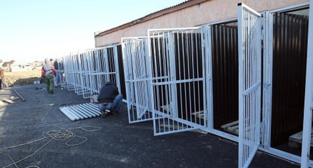 First stray dog kennel in Makhachkala, March 1, 2017. Photo by Patimat Makhmudova for the 'Caucasian Knot'. First stray dog kennel in Makhachkala, March 1, 2017. Photo by Patimat Makhmudova for the 'Caucasian Knot'.