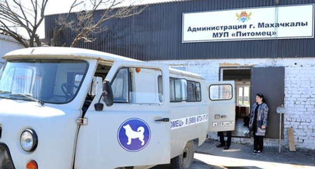 Shelter for stray dogs in Makhachkala. Photo: http://www.riadagestan.ru/news/makhachkala/makhachkalinskiy Shelter for stray dogs in Makhachkala. Photo: http://www.riadagestan.ru/news/makhachkala/makhachkalinskiy