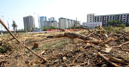 At the place where the trees were cut down near the Widow's Park at the Mamaev Mound. Volgograd, July 27, 2017. Photo by Vyacheslav Yaschenko for "Caucasian Knot" At the place where the trees were cut down near the Widow's Park at the Mamaev Mound. Volgograd, July 27, 2017. Photo by Vyacheslav Yaschenko for "Caucasian Knot"