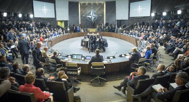 NATO's summit in Brussels. July 11, 2018. Photo by the NATO's press service https://www.nato.int/cps/en/natohq/news_156840.htm NATO's summit in Brussels. July 11, 2018. Photo by the NATO's press service https://www.nato.int/cps/en/natohq/news_156840.htm
