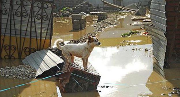 Flooding. Photo: © Olga Gromova / Yuga.ru Flooding. Photo: © Olga Gromova / Yuga.ru