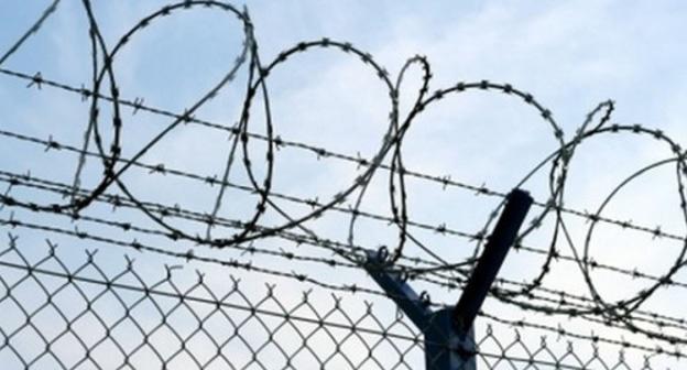 Barbed wire. Photo: Yelena Sineok, Yuga.ru Barbed wire. Photo: Yelena Sineok, Yuga.ru