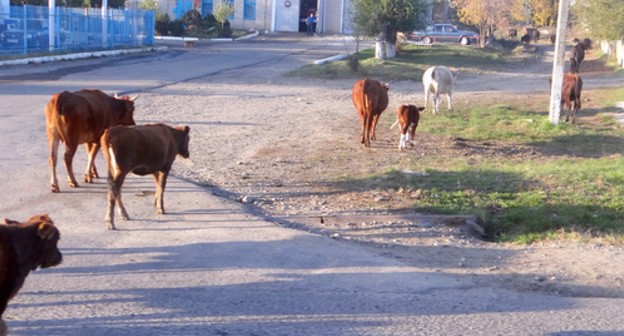 Non-urban area in Karachay-Cherkessia. Photo: Alexander Grishev, https://commons.wikimedia.org/wiki/File:Kavkazskiy,_Karachaevo-Cherkesskaya_Republits,_Russia,_369100_-_panoramio_(2).jpg Non-urban area in Karachay-Cherkessia. Photo: Alexander Grishev, https://commons.wikimedia.org/wiki/File:Kavkazskiy,_Karachaevo-Cherkesskaya_Republits,_Russia,_369100_-_panoramio_(2).jpg