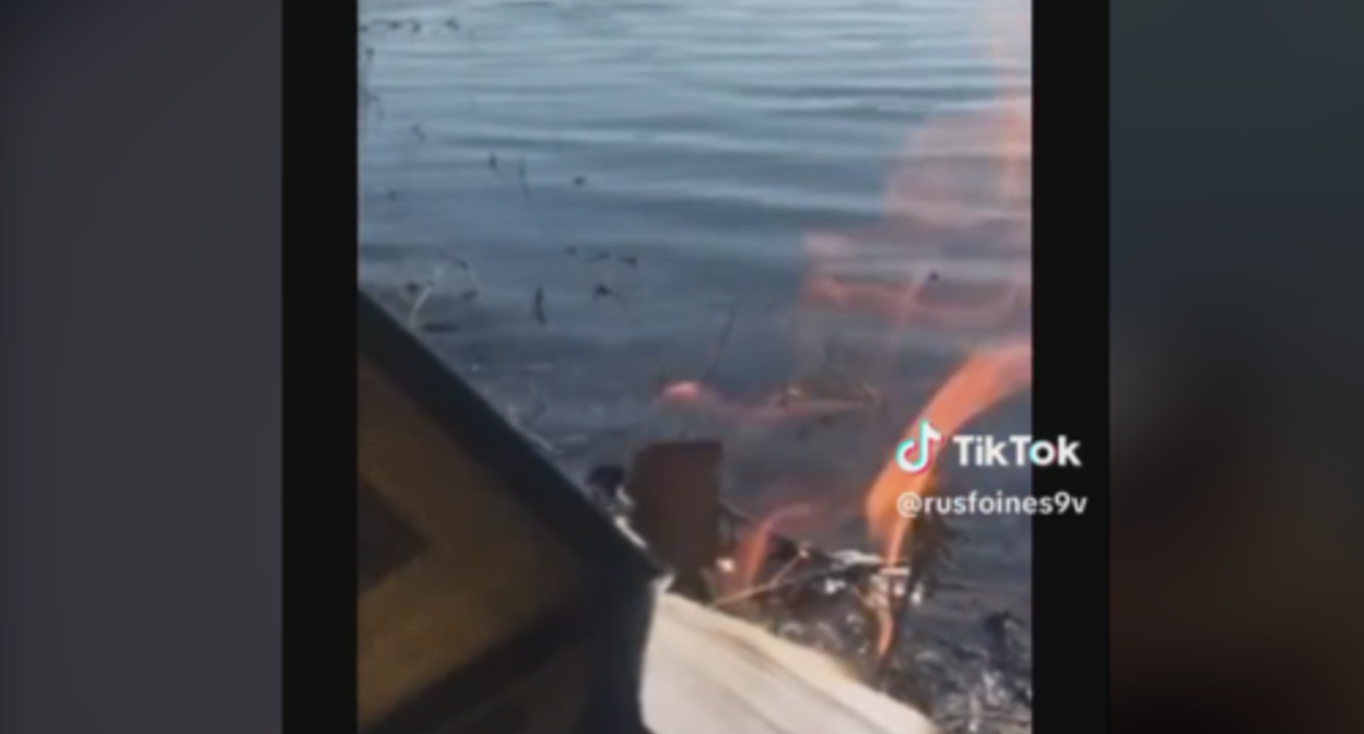 A still of the video about the burning of the Koran in Moscow. Screenshot of the video from the account rusfoines9v on TikTok https://www.tiktok.com/@rusfoines9v/video/7221832947689606405 A still of the video about the burning of the Koran in Moscow. Screenshot of the video from the account rusfoines9v on TikTok https://www.tiktok.com/@rusfoines9v/video/7221832947689606405