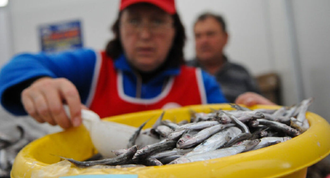 Sale of Black Sea fish: photo by Elena Sineok, the "Yuga.ru" outlet
