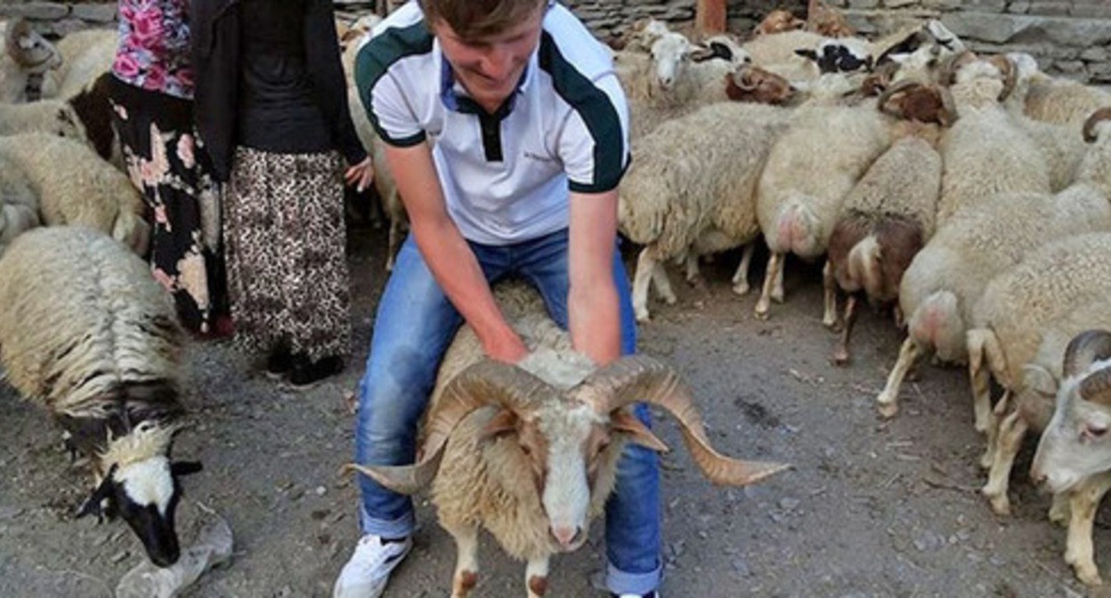 Sacrificial animal: photo by Patimat Makhmudova for the "Caucasian Knot".