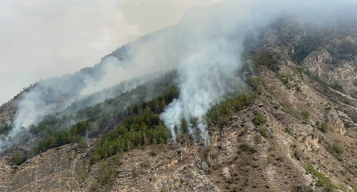 Forest fire in Untsukulsky district. September 3, 2025. Screenshot of video https://news-dagestan.ru/society/2025/09/03/38894.html