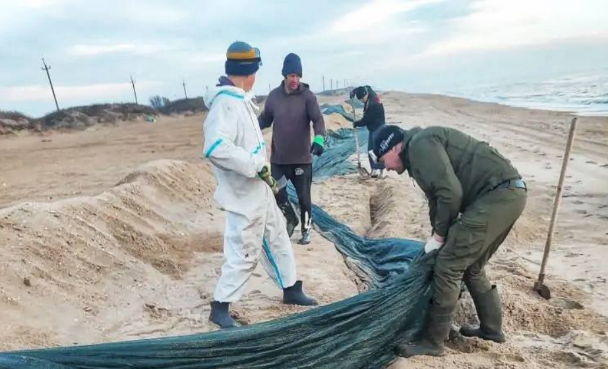 Volunteers remove nets from the Bugayskaya Spit. Screenshot from the "Nets, Sieve, Shovel" headquarters on January 6, 2026, https://t.me/setisitolopata/2247.