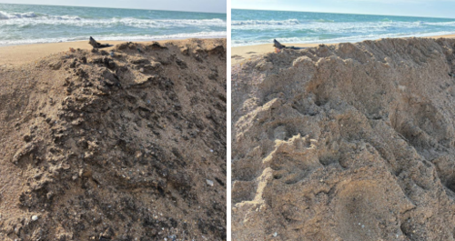 Condition of the protective embankment before and after cleanup. Screenshot of a photo from the "Net, Sieve, Shovel" headquarters from 02/07/26, https://t.me/setisitolopata/2508