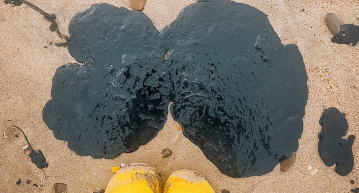 Fuel oil on the Bugayskaya Spit. Screenshot from a photo by "SSL Volunteers" from February 20, 2026, https://t.me/setisitolopata/2606.