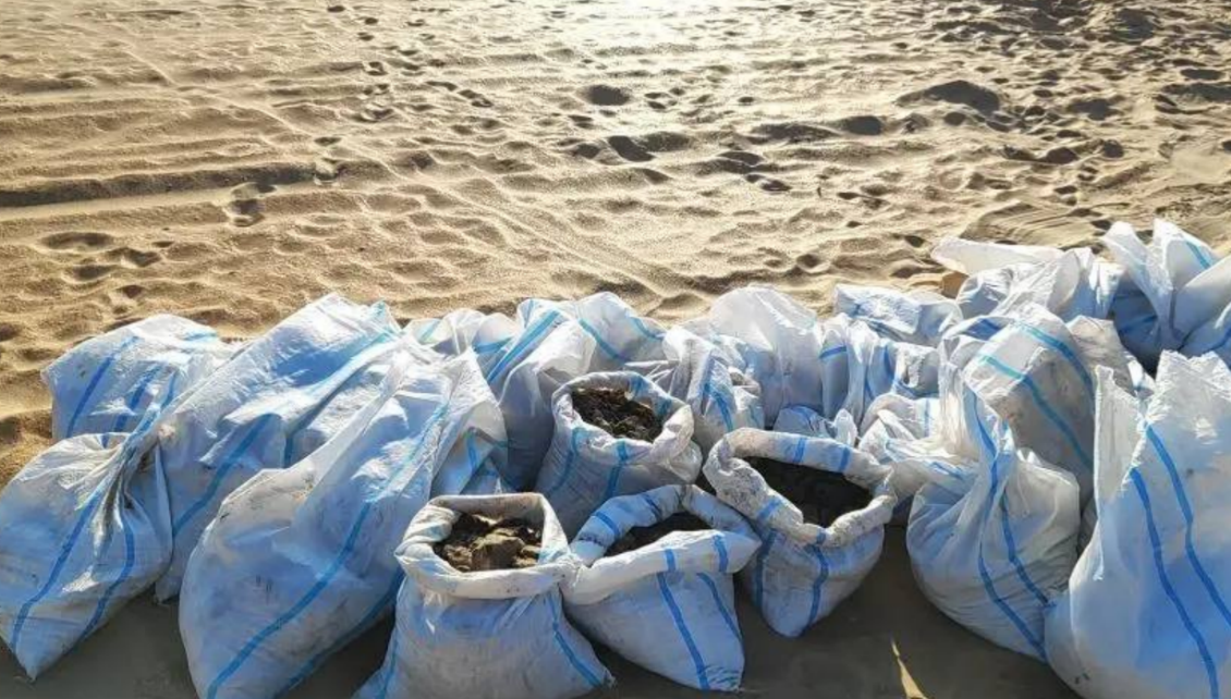 Collected bags of fuel oil. Screenshot from a photo by "SSL Volunteers" from March 14, 2026, https://t.me/setisitolopata/2695