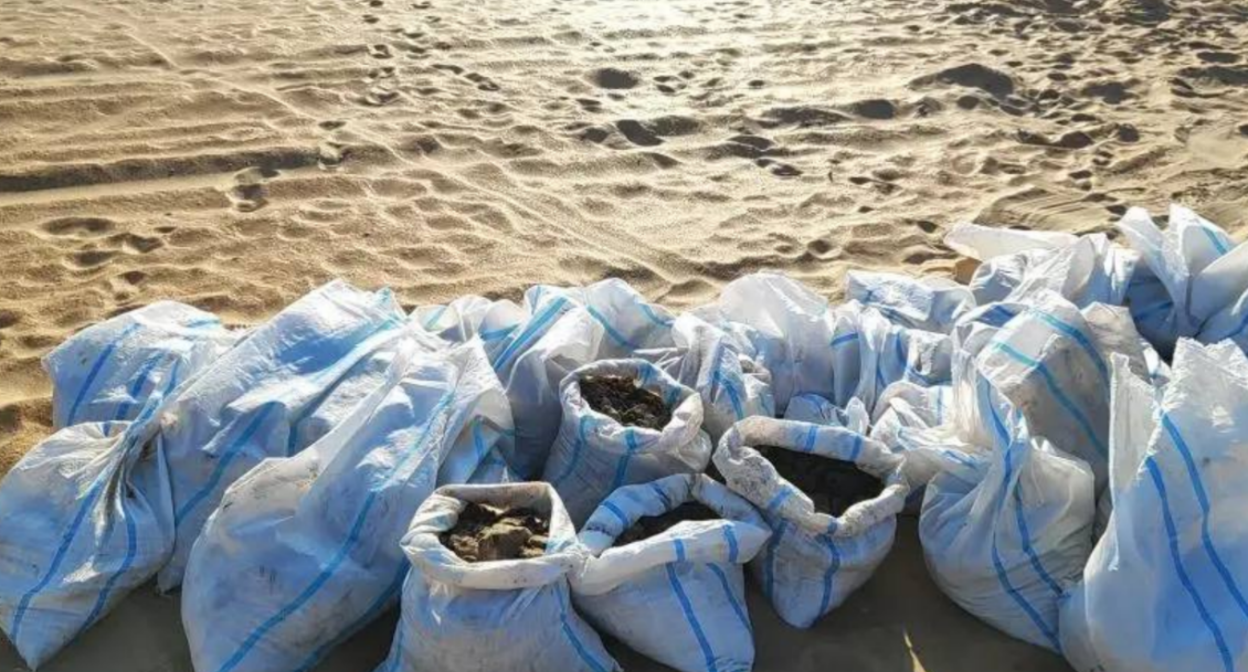 Collected bags of fuel oil. Screenshot from a photo by "SSL Volunteers" from March 14, 2026, https://t.me/setisitolopata/2695