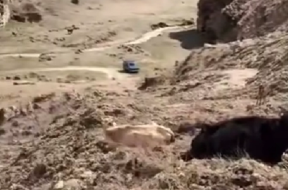 A blocked road to the village of Guimi. Still from video: https://www.instagram.com/p/DW_alk2DH5d/ (Meta, the company that owns the social network, is banned in Russia). A blocked road to the village of Guimi. Still from video: https://www.instagram.com/p/DW_alk2DH5d/ (Meta, the company that owns the social network, is banned in Russia).