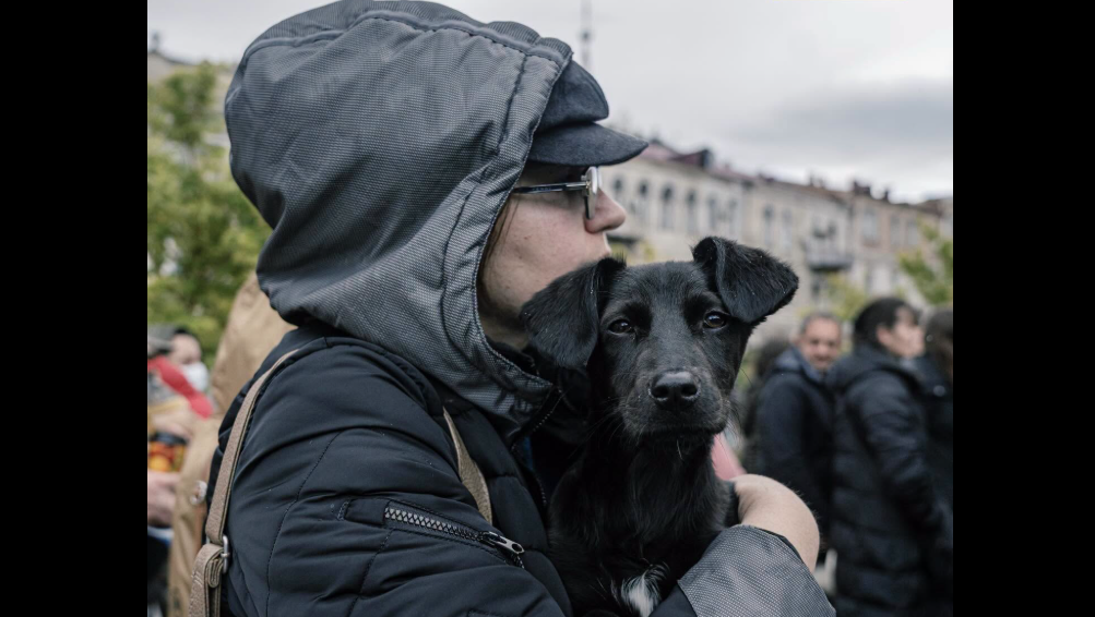 Protesters at the Georgian Chancellery. Photo screenshot by Publika.