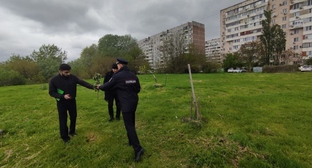 Police officers take a report of the destruction of green spaces in the Yubileiny microdistrict. Krasnodar, May 2, 2026. Photo from the "Krasnodar UMR" Telegram channel https://t.me/KrasnodarUMR/25034