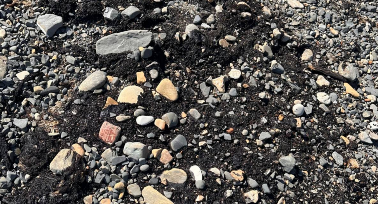 Pollution on the beach near the Elektron sports camp. https://t.me/razlivnasvyazi/1106/331235