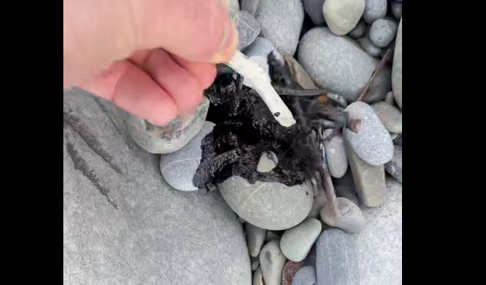 Stains on the beach in Chemitokvadzh. Video still: https://t.me/agentstvonews/15274.