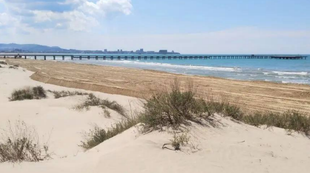 The beach in Anapa after filling. Screenshot from a photo by "SSL Volunteers" from May 17, 2026, https://t.me/setisitolopata/2957.
