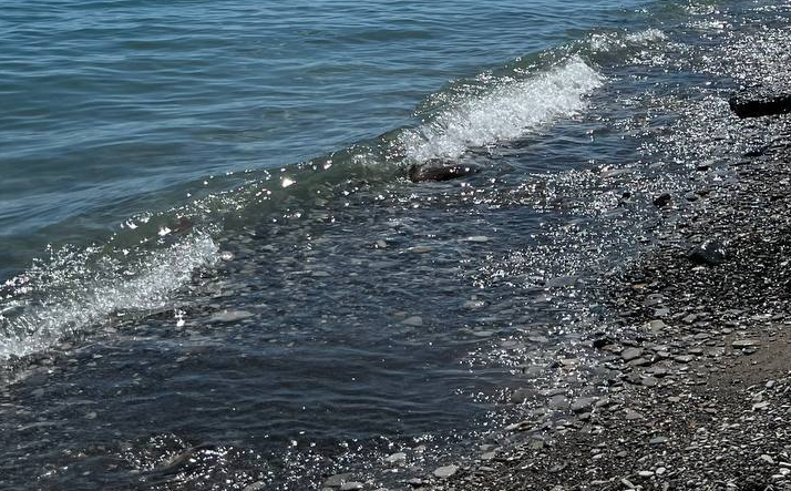 A beach wash at Primorsky Beach. Screenshot from the Telegram channel "My Tuapse" from May 17, 2026, https://t.me/my_tuapse/35344